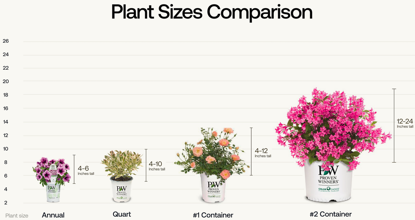 Plant Comparison
